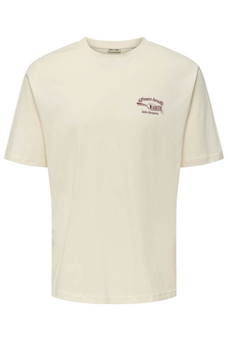 Only & Sons onsalfresco rlx ss tee